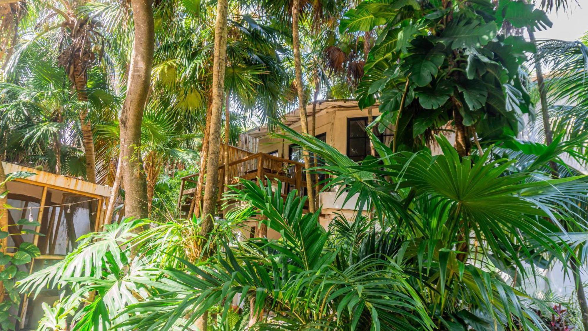 Casa Ambar Hotel & Boutique Tulum (Adults Only) Εξωτερικό φωτογραφία