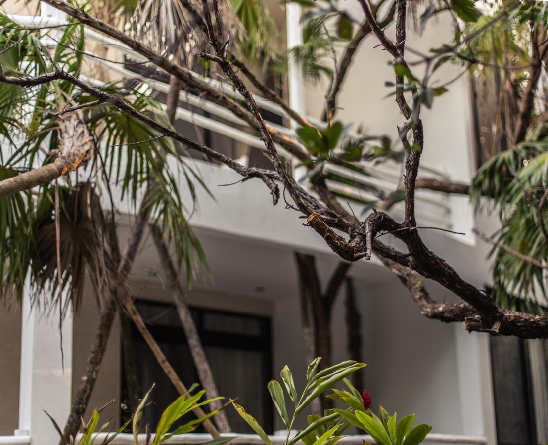 Casa Ambar Hotel & Boutique Tulum (Adults Only) Εξωτερικό φωτογραφία