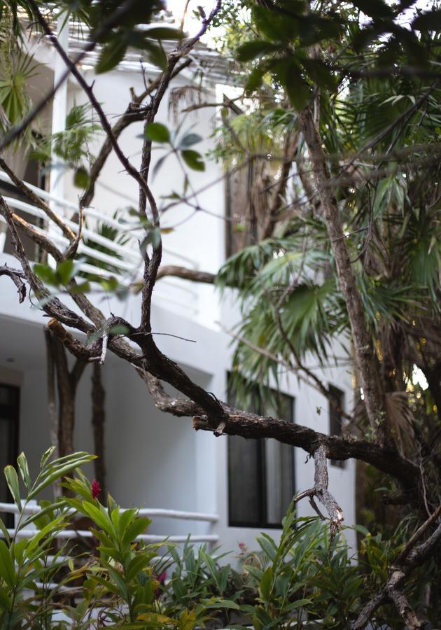 Casa Ambar Hotel & Boutique Tulum (Adults Only) Εξωτερικό φωτογραφία
